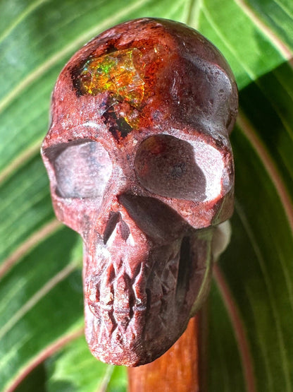 Skull Cantara Opal High Quality Cabochon Mexican Fire Opal Jelly Opal Water Opal, Opal in Matrix Opal in Rhyolite
