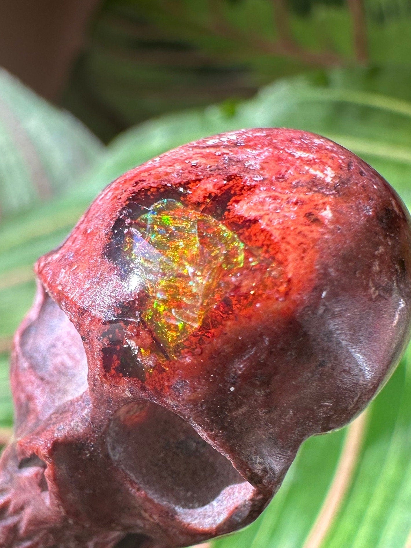 Skull Cantara Opal High Quality Cabochon Mexican Fire Opal Jelly Opal Water Opal, Opal in Matrix Opal in Rhyolite
