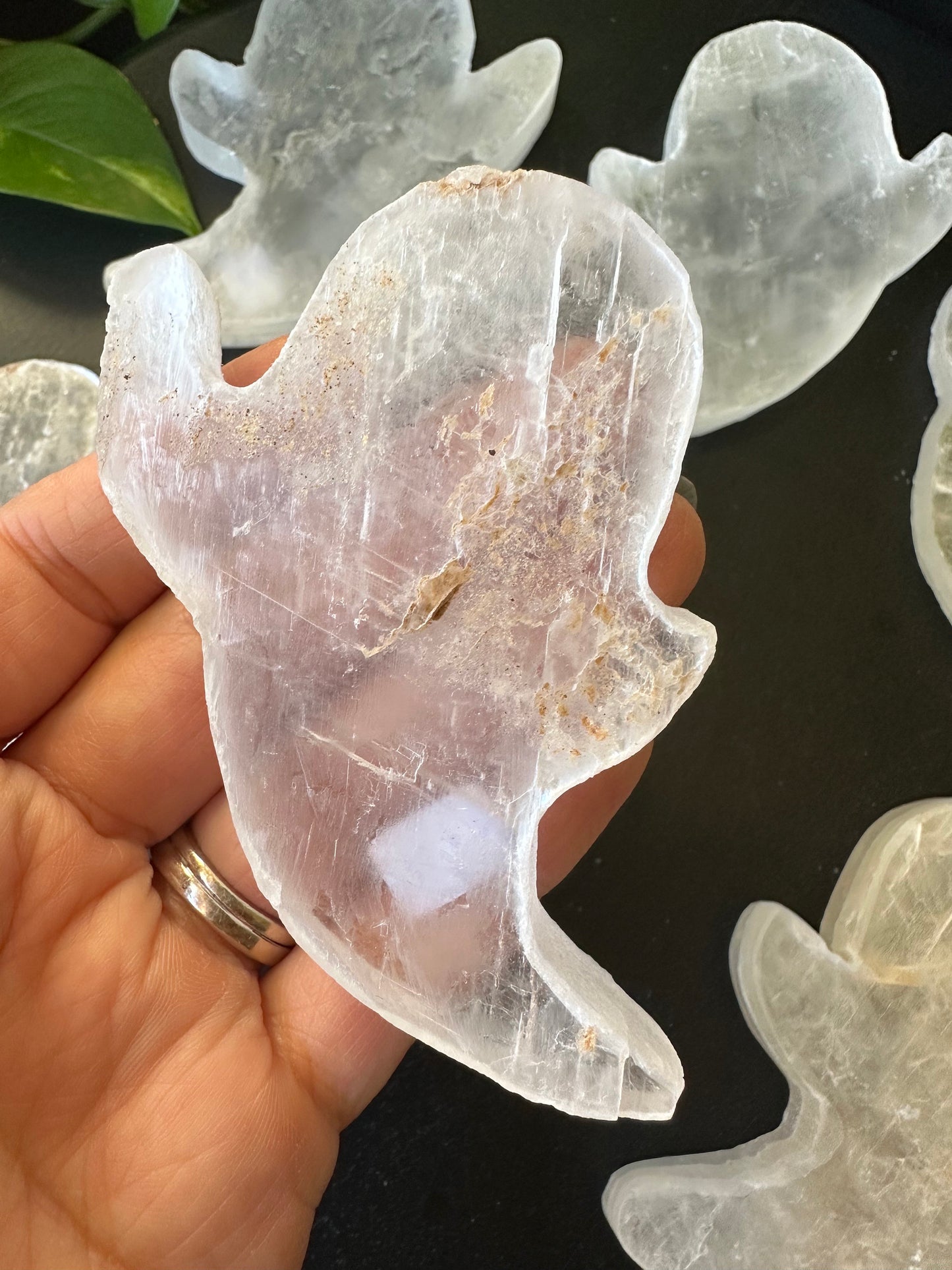 Window Pane Selenite from Mexico Transparent Ghost Selenite Halloween