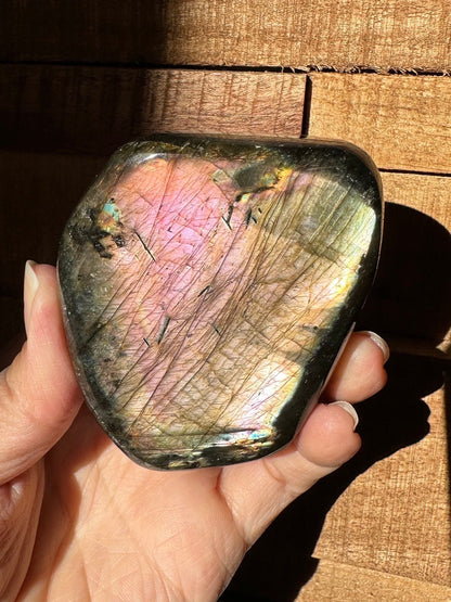 Free Form Pink Golden Flash Labradorite/ Sunset Labradorite/ High Grade/ Flashy Labradorite