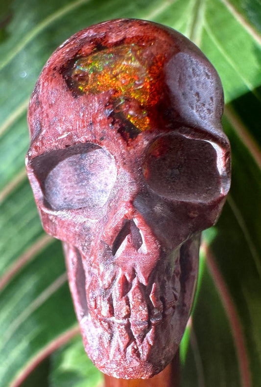 Skull Cantara Opal High Quality Cabochon Mexican Fire Opal Jelly Opal Water Opal, Opal in Matrix Opal in Rhyolite