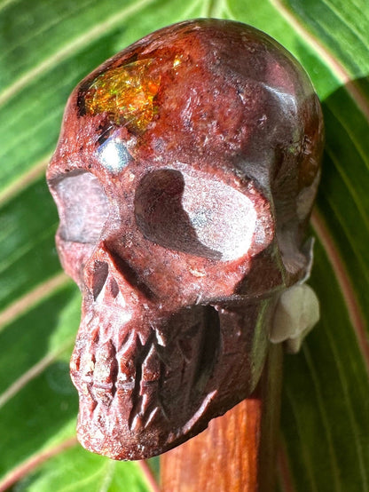 Skull Cantara Opal High Quality Cabochon Mexican Fire Opal Jelly Opal Water Opal, Opal in Matrix Opal in Rhyolite