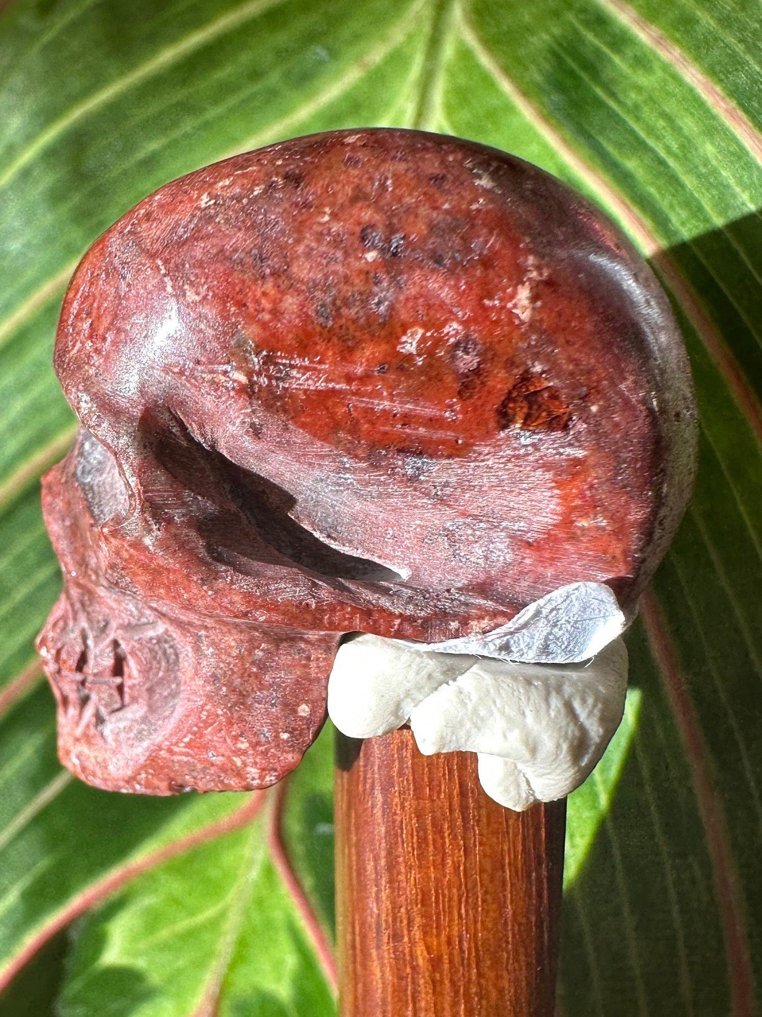 Skull Cantara Opal High Quality Cabochon Mexican Fire Opal Jelly Opal Water Opal, Opal in Matrix Opal in Rhyolite