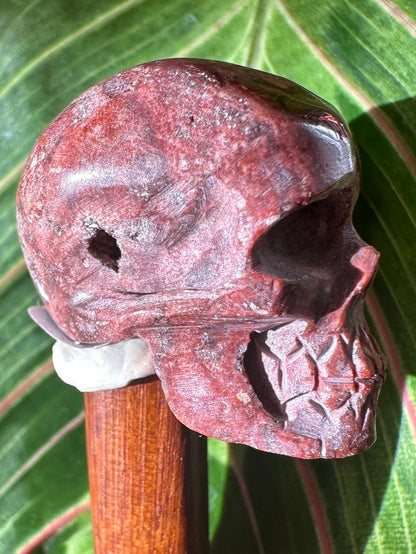 Skull Cantara Opal High Quality Cabochon Mexican Fire Opal Jelly Opal Water Opal, Opal in Matrix Opal in Rhyolite