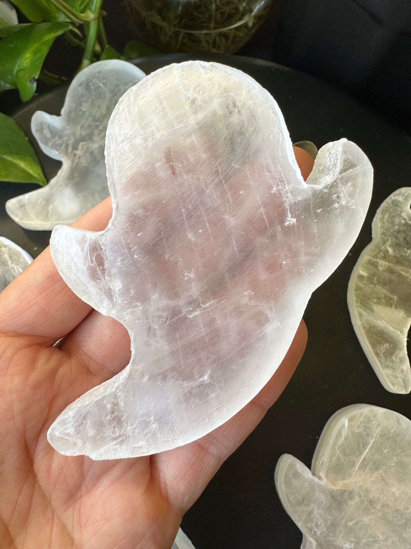 Window Pane Selenite from Mexico Transparent Ghost Selenite Halloween