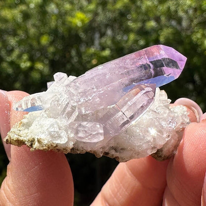 High Quality Vera Cruz Amethyst cluster Amethyst Rainbow