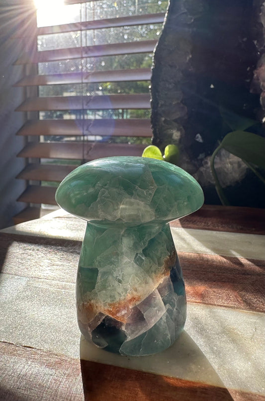 Mexican Fluorite Mushroom/ Rainbow Fluorite/ Mushy