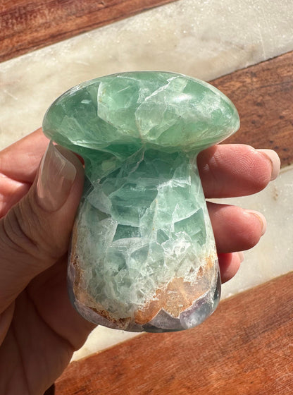 Mexican Fluorite Mushroom/ Rainbow Fluorite/ Mushy