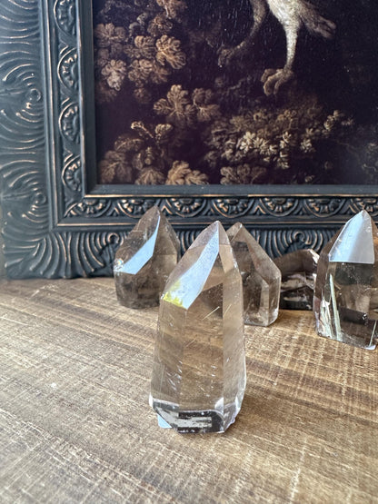 Smoky Quartz Freeform with Golden Rutile and Rainbows