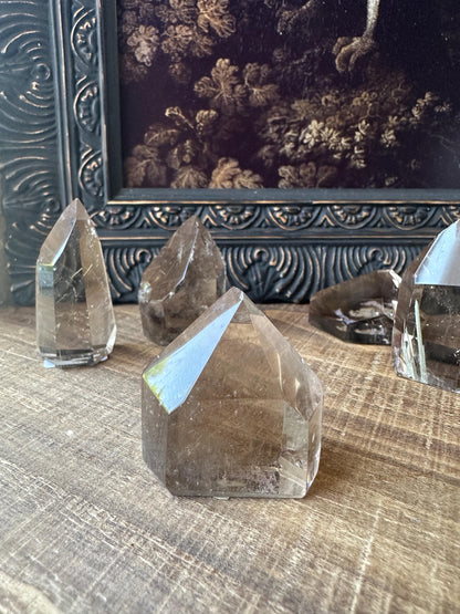 Smoky Quartz Freeform with Golden Rutile and Rainbows