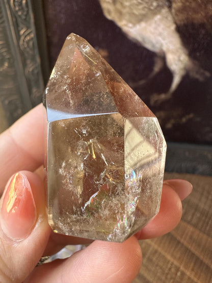 Smoky Quartz Freeform with Golden Rutile and Rainbows