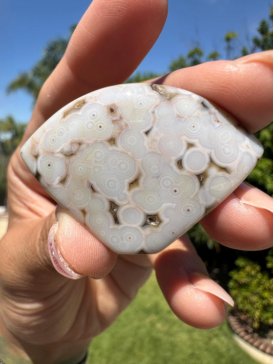 8th vein Ocean Jasper Cabochon, Rare Ocean Jasper, High Quality, Orbicular Jasper, Collectors piece, Green Quartz