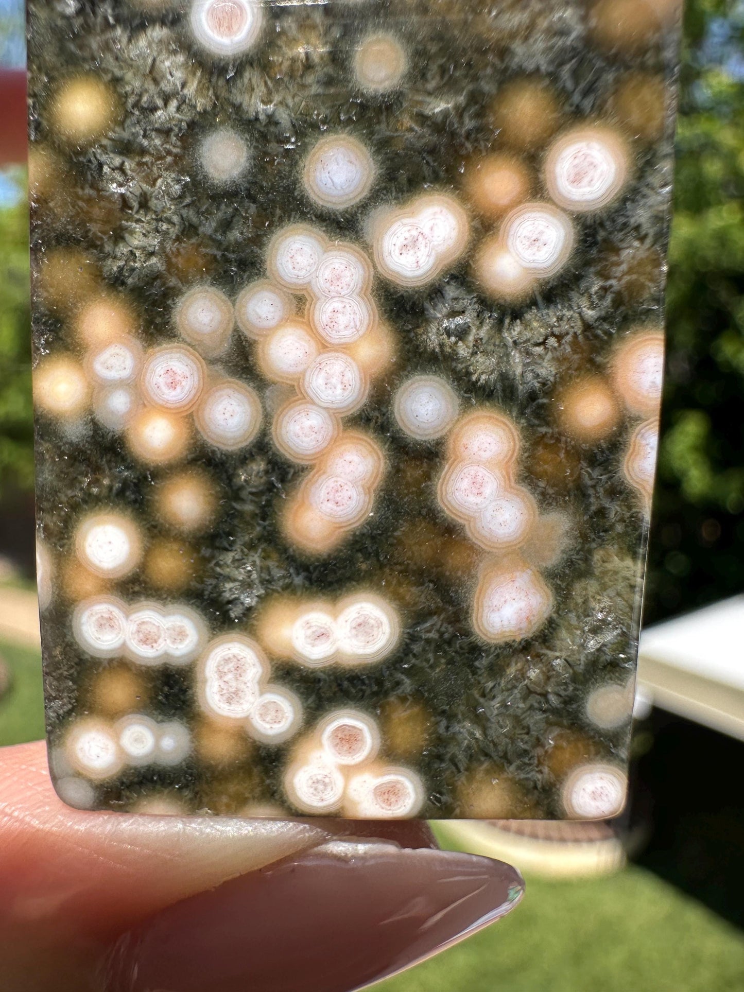 8th vein Ocean Jasper Cabochon, Rare Ocean Jasper, High Quality, Orbicular Jasper, Collectors piece, Green Quartz