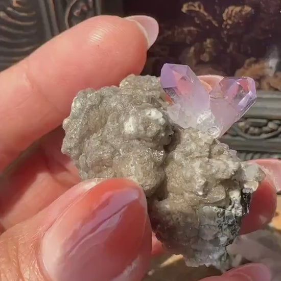 High Quality Vera Cruz Amethyst Intuitively Chosen