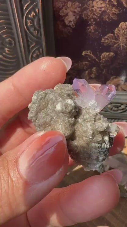 High Quality Vera Cruz Amethyst Intuitively Chosen