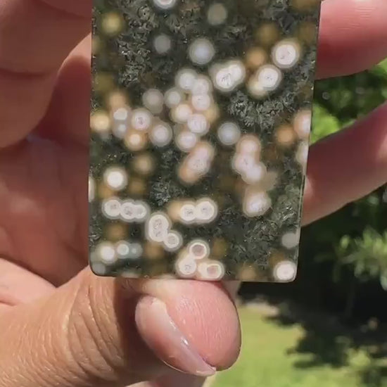 8th vein Ocean Jasper Cabochon, Rare Ocean Jasper, High Quality, Orbicular Jasper, Collectors piece, Green Quartz