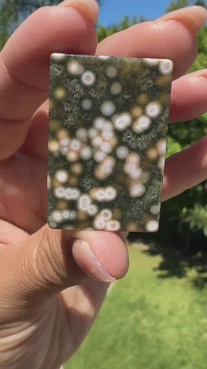 8th vein Ocean Jasper Cabochon, Rare Ocean Jasper, High Quality, Orbicular Jasper, Collectors piece, Green Quartz