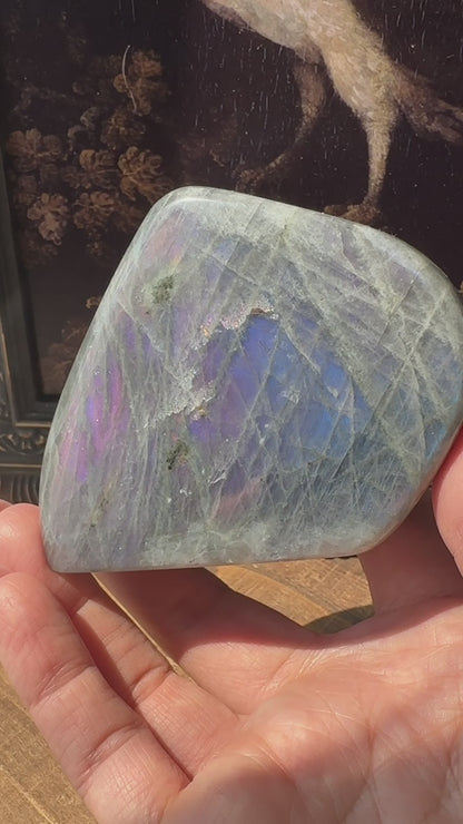 Labradorite Freeform