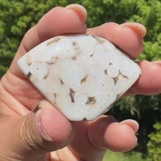 8th vein Ocean Jasper Cabochon, Rare Ocean Jasper, High Quality, Orbicular Jasper, Collectors piece, Green Quartz