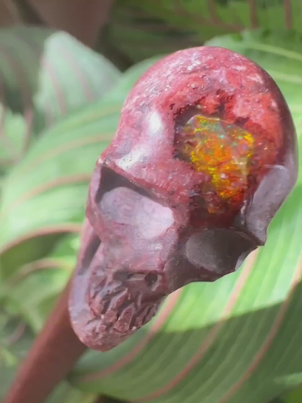 Skull Cantara Opal High Quality Cabochon Mexican Fire Opal Jelly Opal Water Opal, Opal in Matrix Opal in Rhyolite